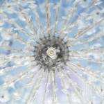 wedding chandelier spain