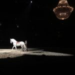 FEI World Cup lampara