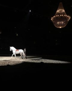 FEI World Cup lampara