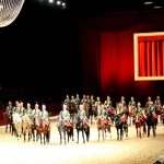 caballos lipizzaner