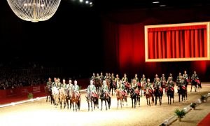 caballos lipizzaner