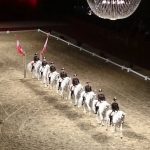 iluminacion FEI World Cup