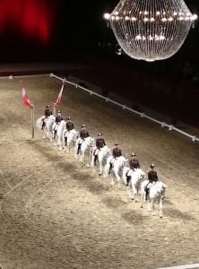 iluminacion FEI World Cup
