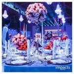 ECR-Gala-iluminacion
